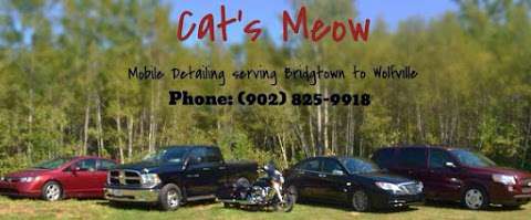 Cat's Meow Car Detailing